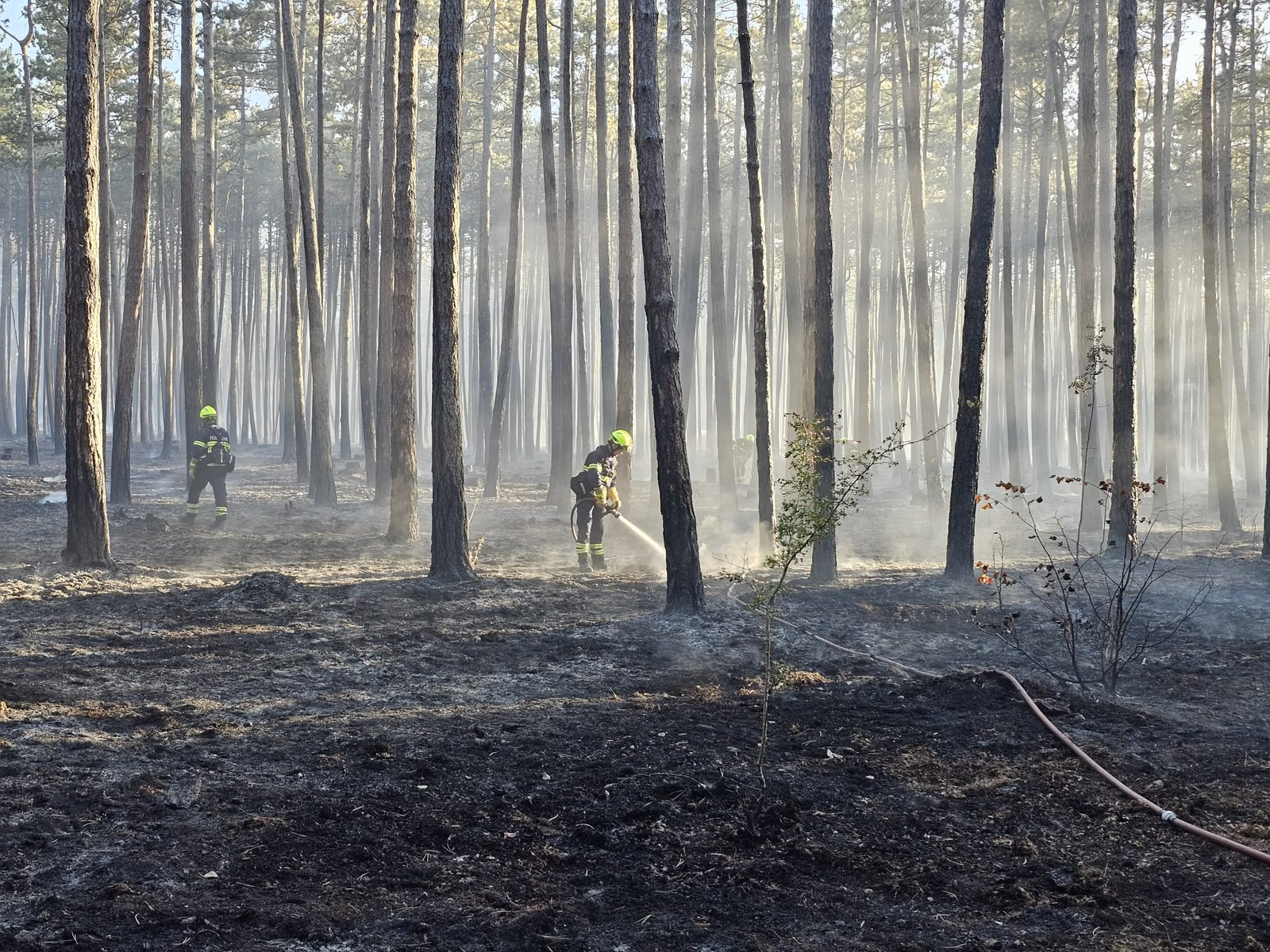 20260814 Unterstützung bei Großbrand im Föhrenwald